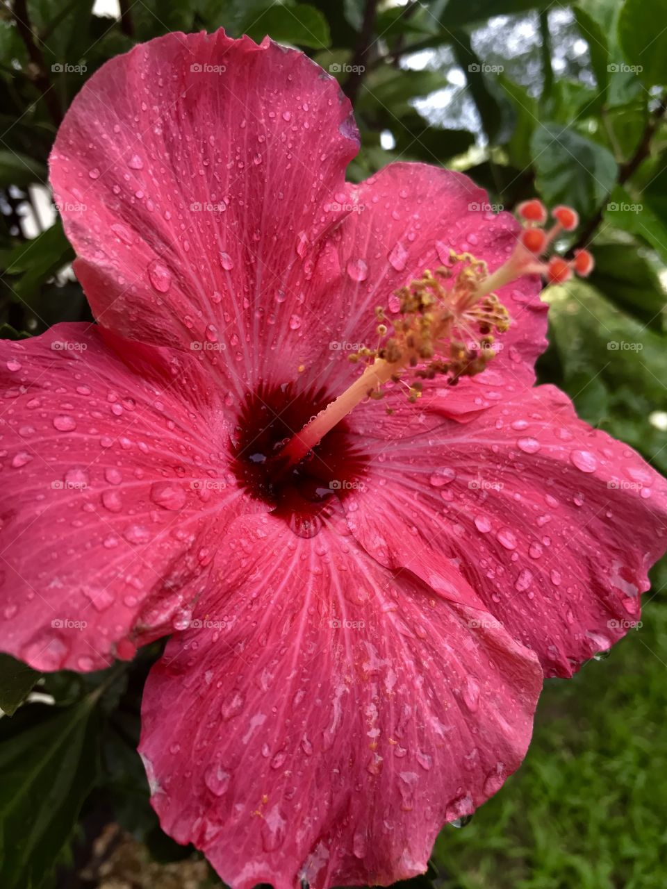 #After rain- Always captured while running!