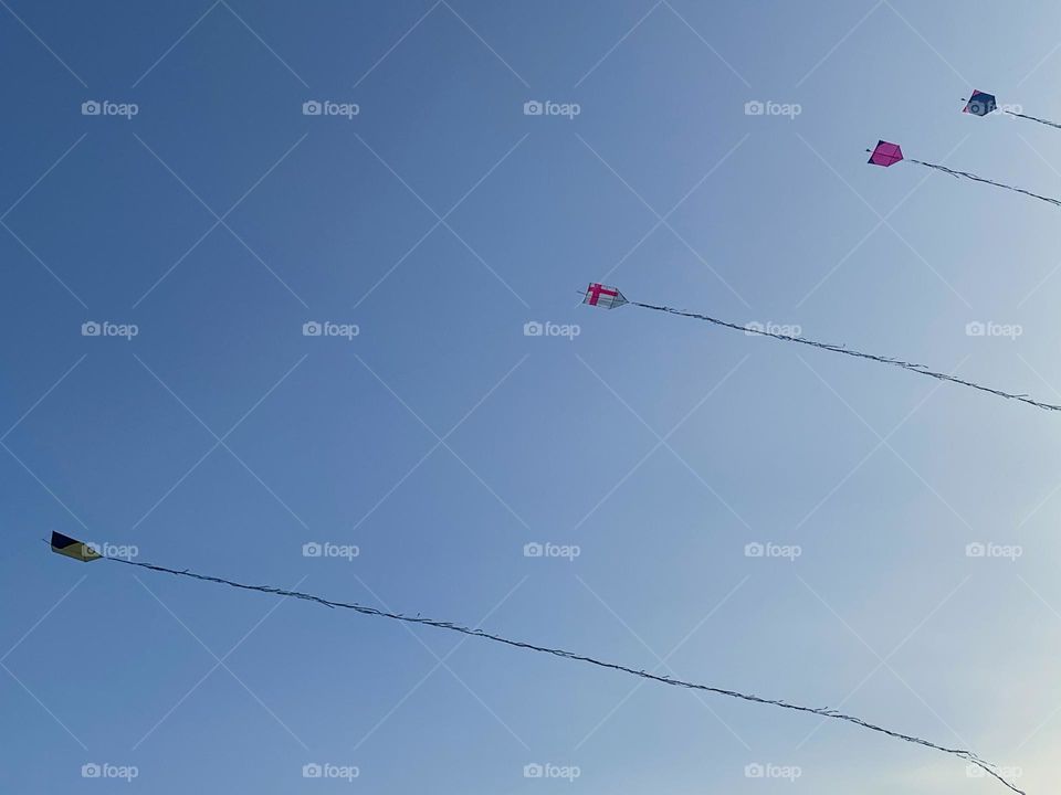 Kites in the blue sky 