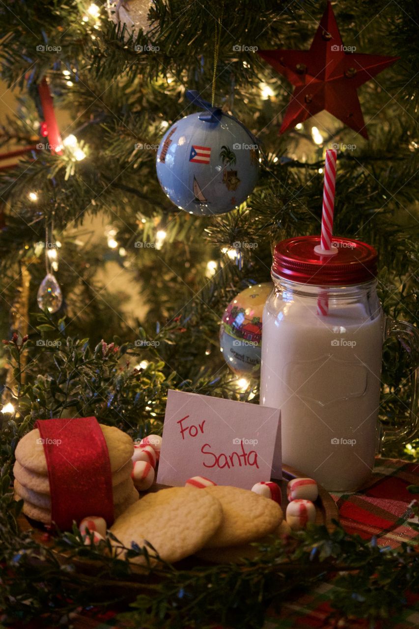 Christmas cookies and milk for Santa