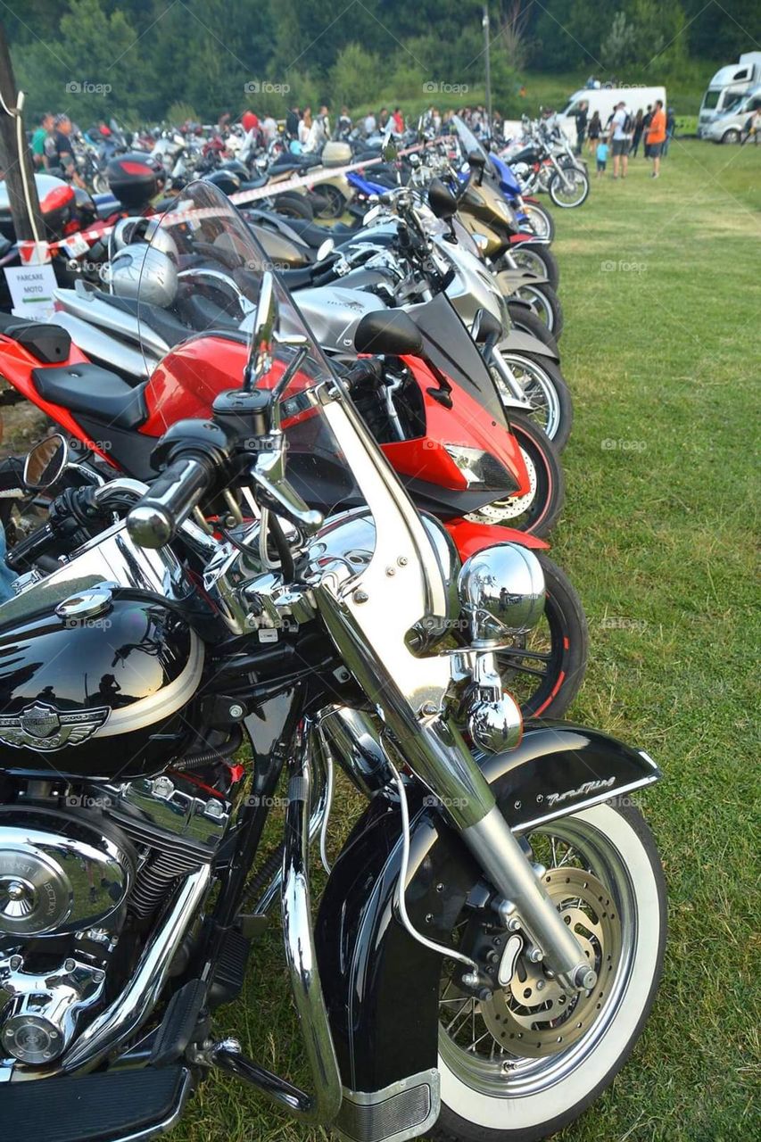 Introducing the crowds revolution mission