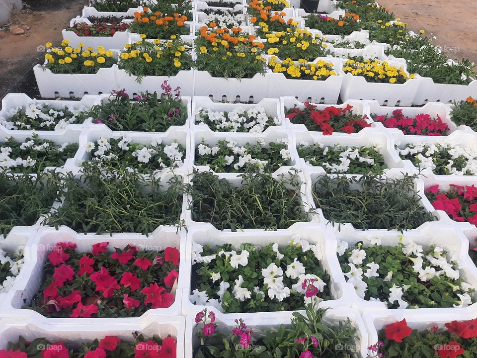 Please make me happy, I am poor, I need your help with support