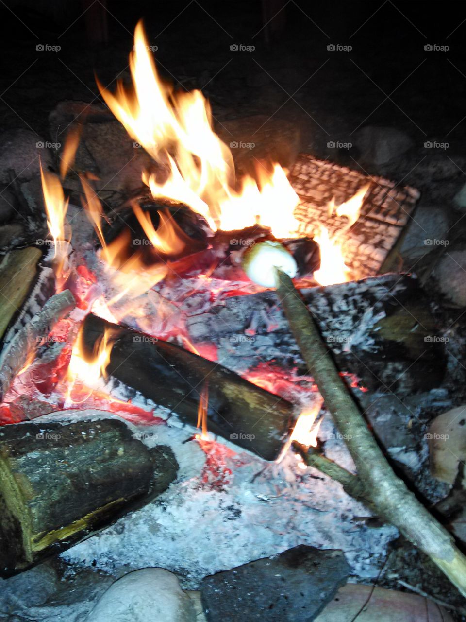 Roasting Marshmallows. Marshmallow on a stick over an open fire
