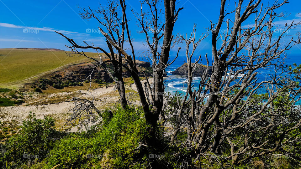 A view from Countryside/bayside