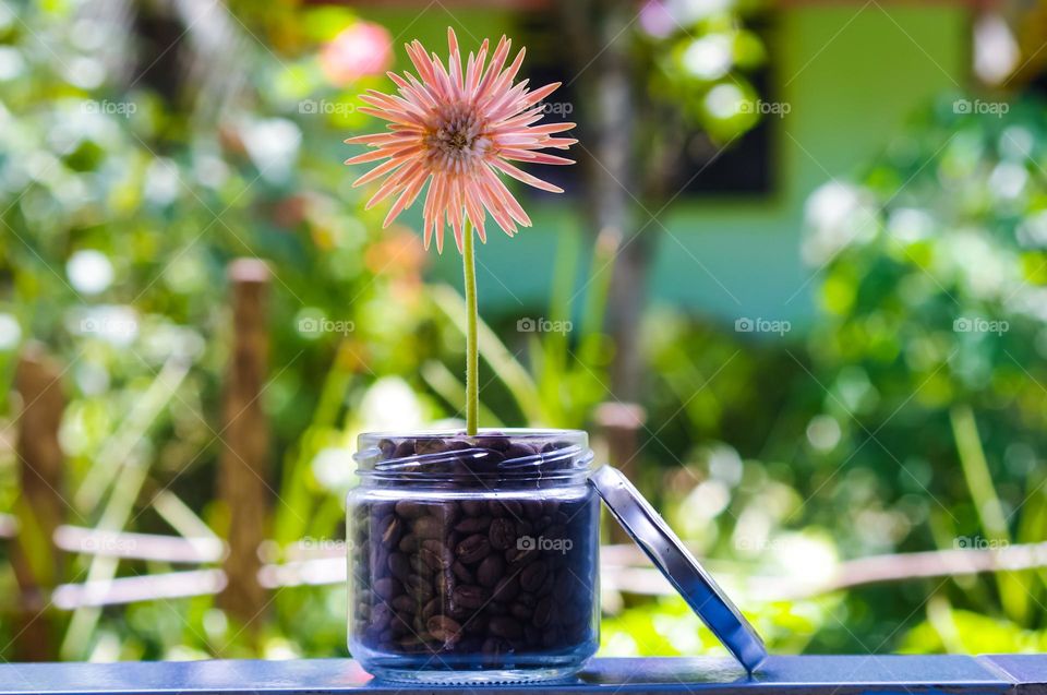 coffee jar flowers