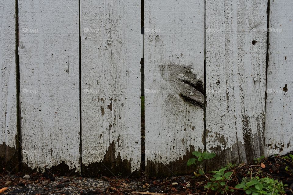 Picket fence with paint peeling off