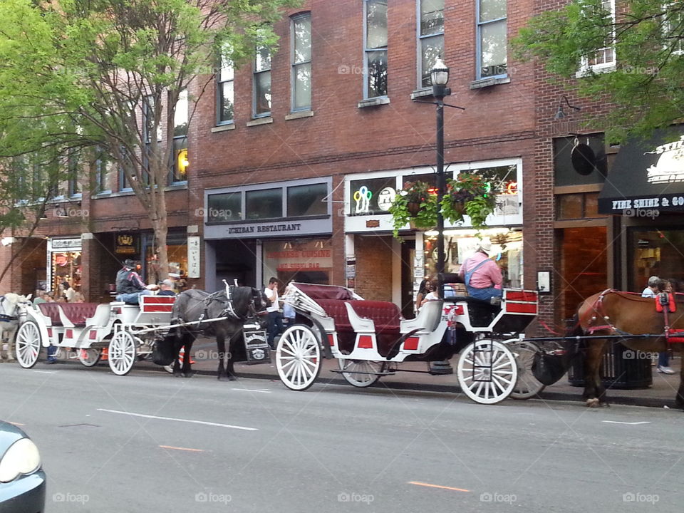 Vehicle, Carriage, Street, Transportation System, People