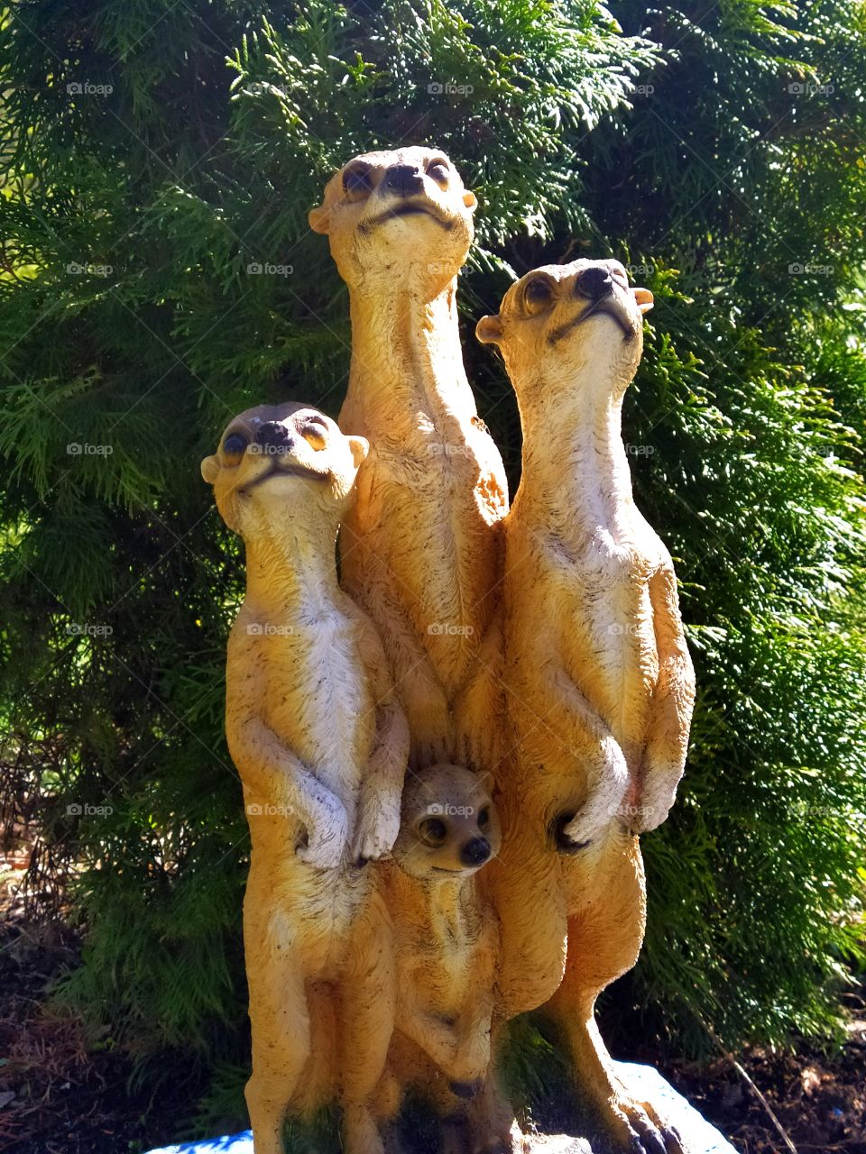 Sculpture of four meerkats against the background of a green Christmas tree