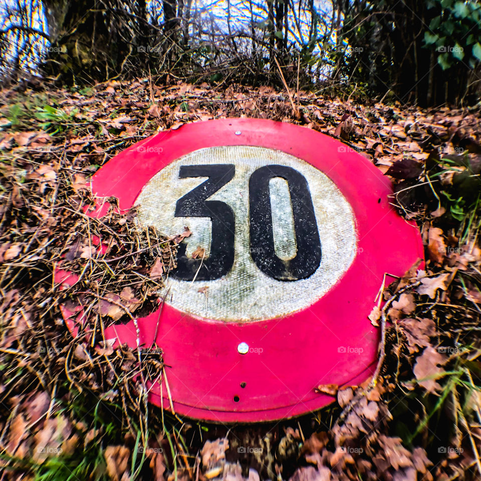 Bright red, speed limit sign lies discarded in the rotting leaf litter