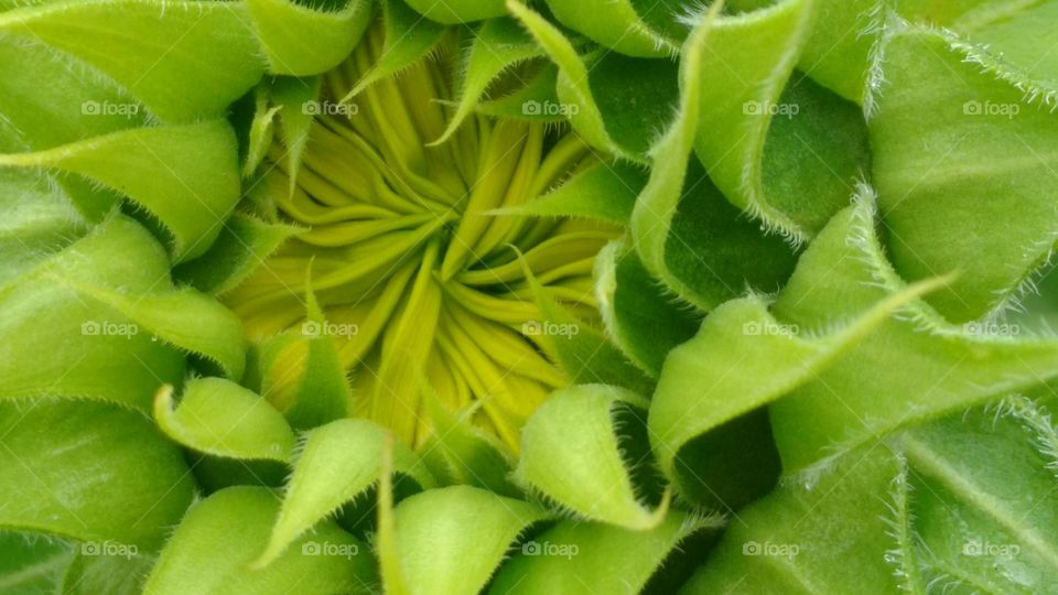 The Beauty Which Surrounds Us