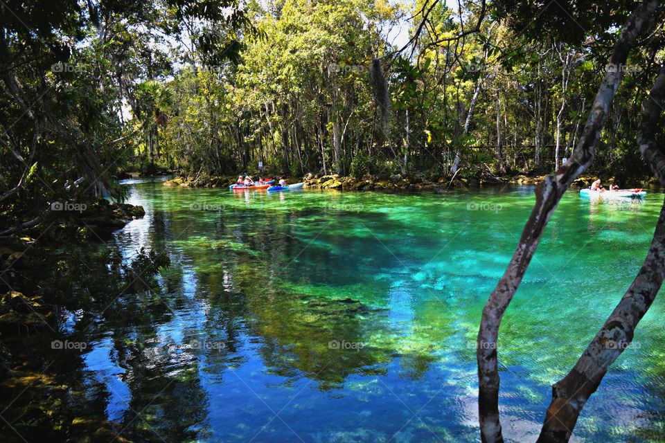 Christal springs 