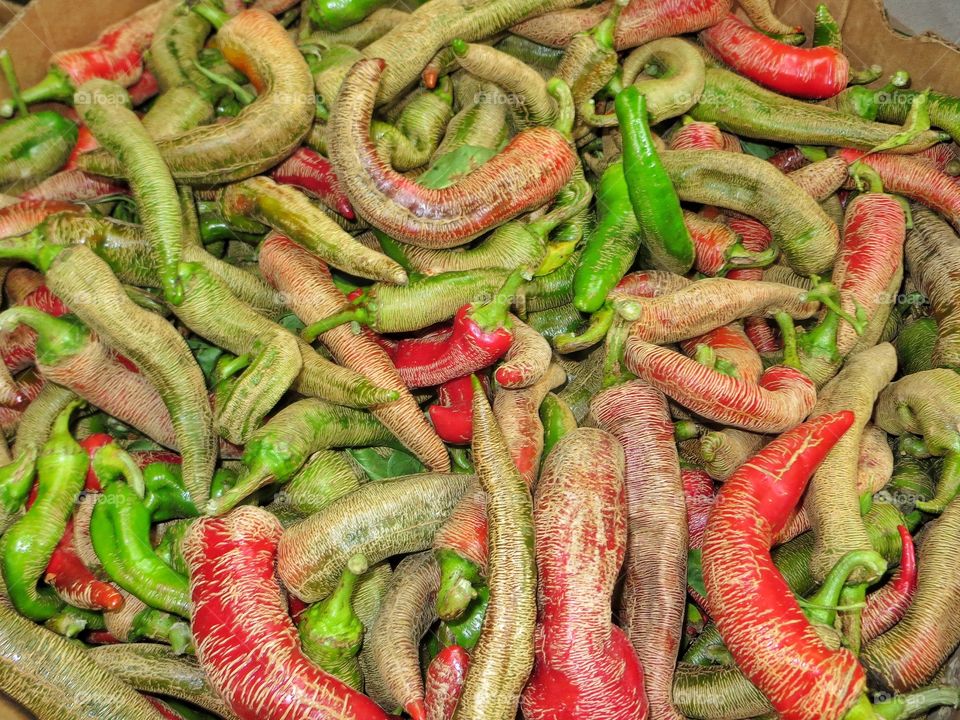 Pepper galore 