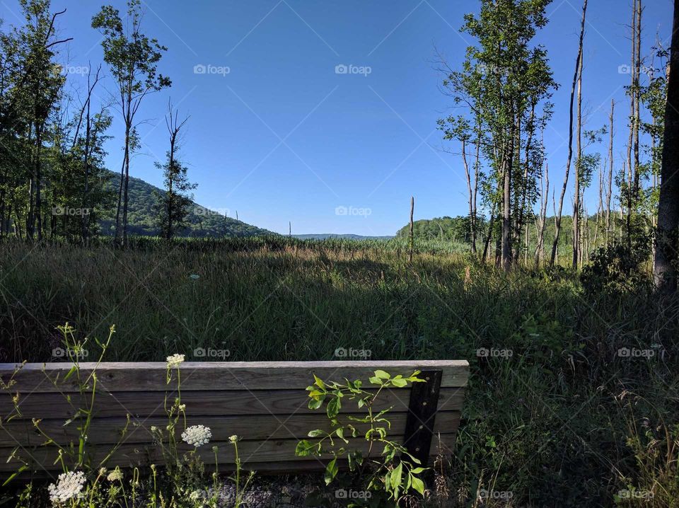 park bench by a lake under blue sky