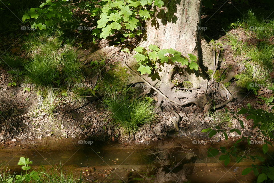 Shadow and sun in a park in Antwerp