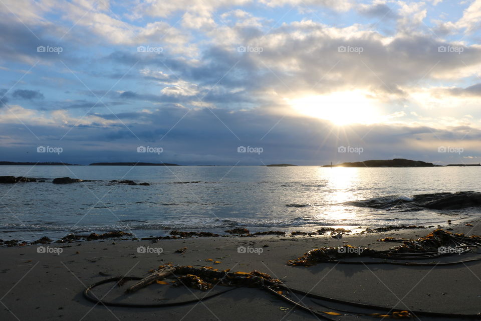 Morning on a beach