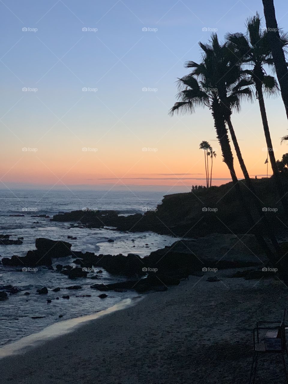 Palm tree silhouettes on the beach at sunset