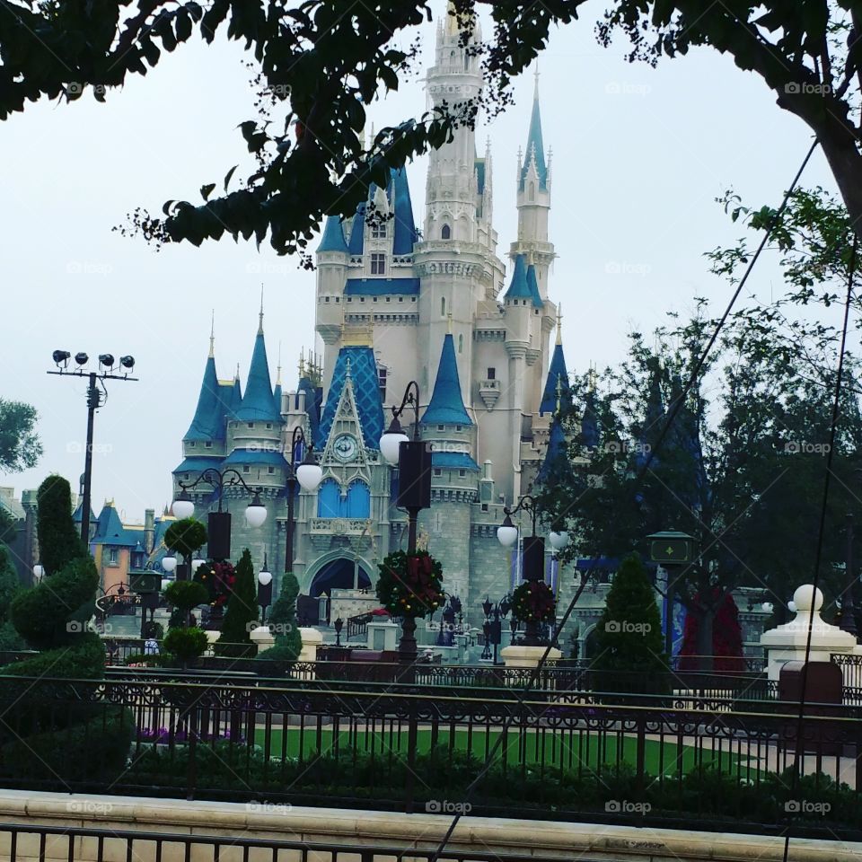 Disney World!