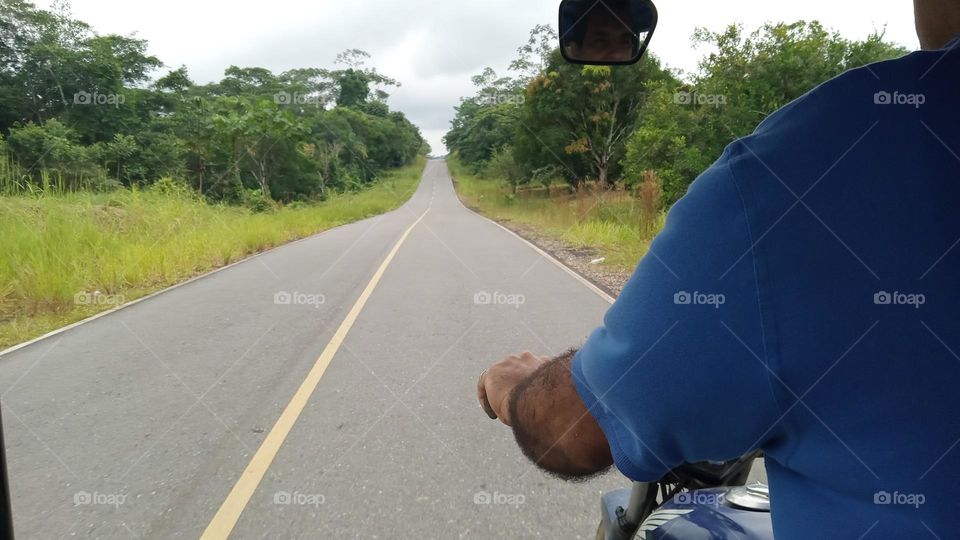 on the road...enjoying the fresh air and fascinating nature of spring