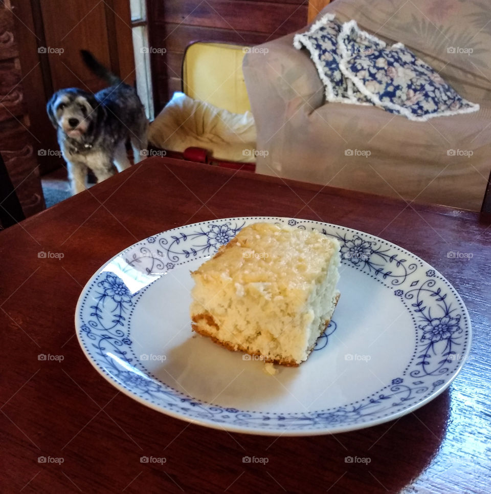dog wanting the coconut cake
