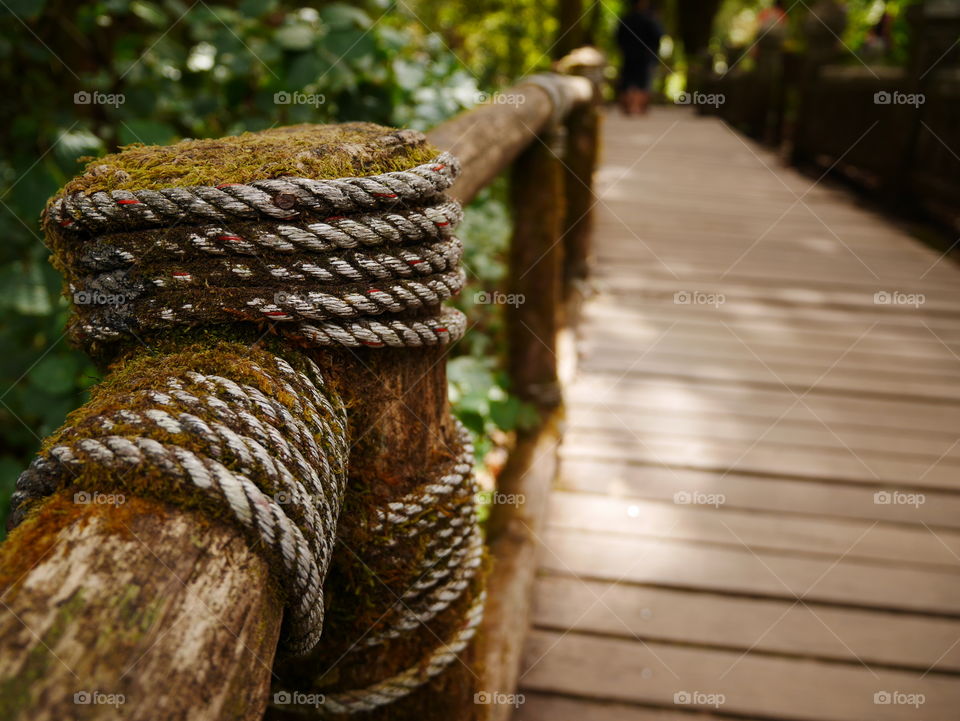 Old rope and green moss on wood bridge at Doi Inthanon