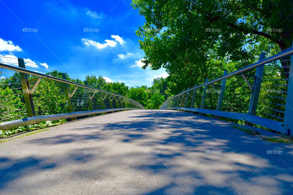 Hiking Trails