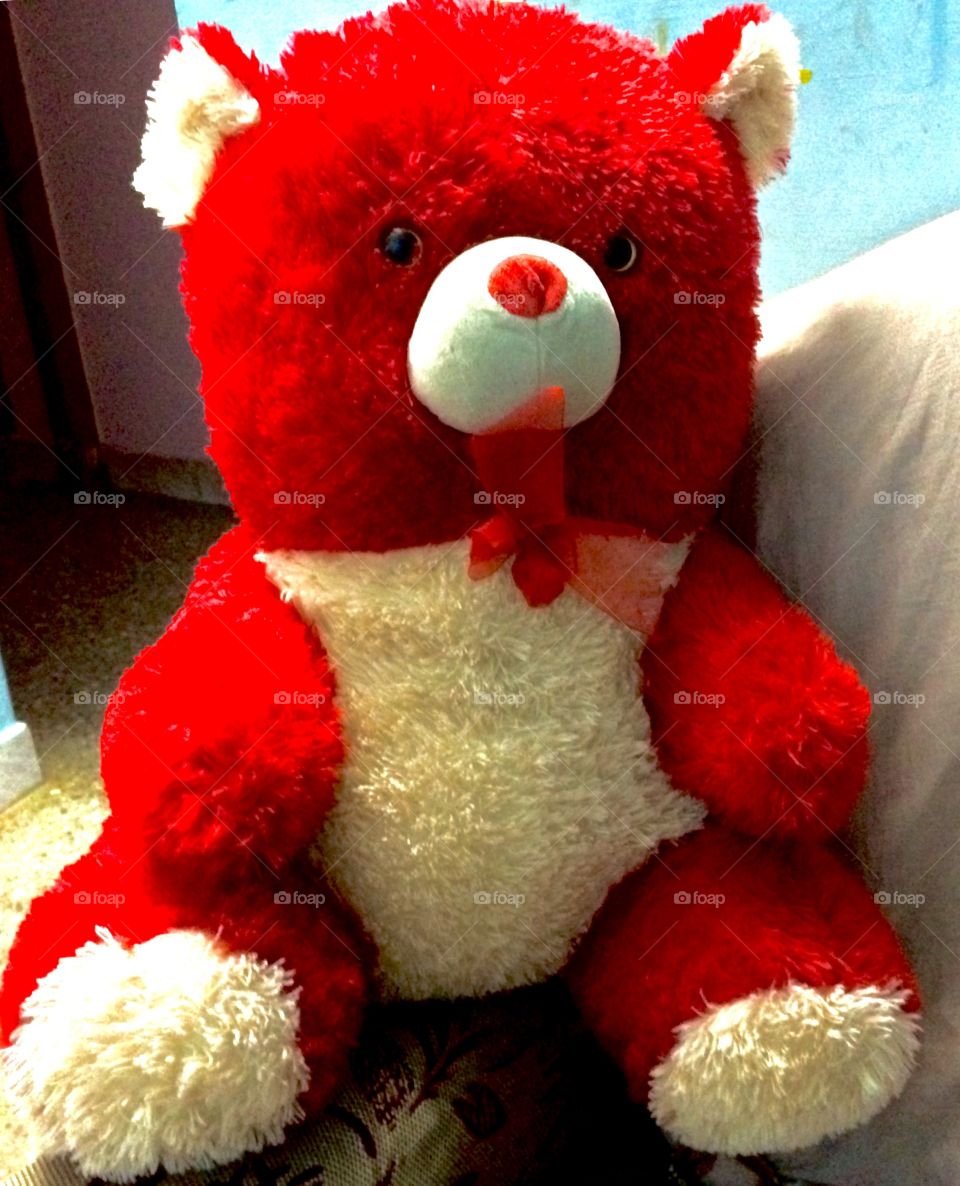 Red head teddy bear 