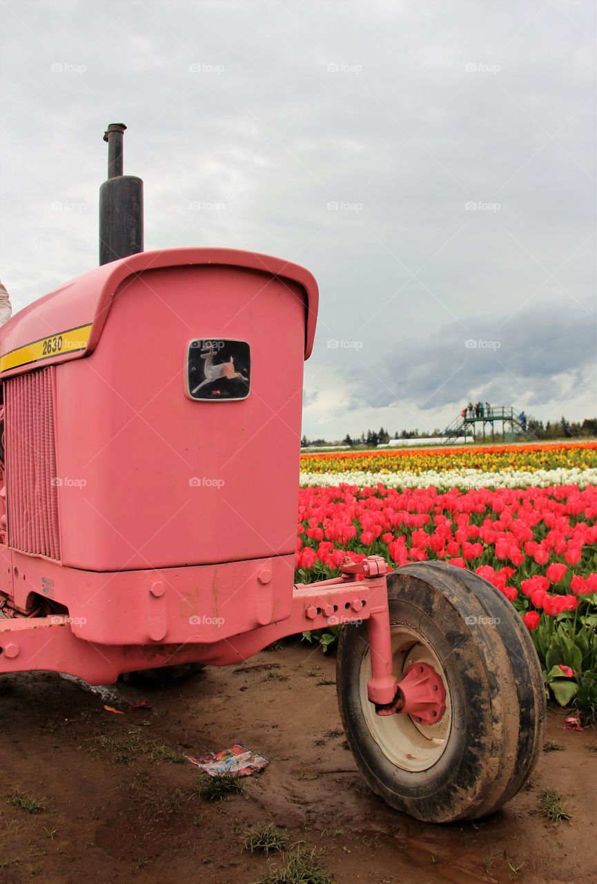 Pink John Deere 