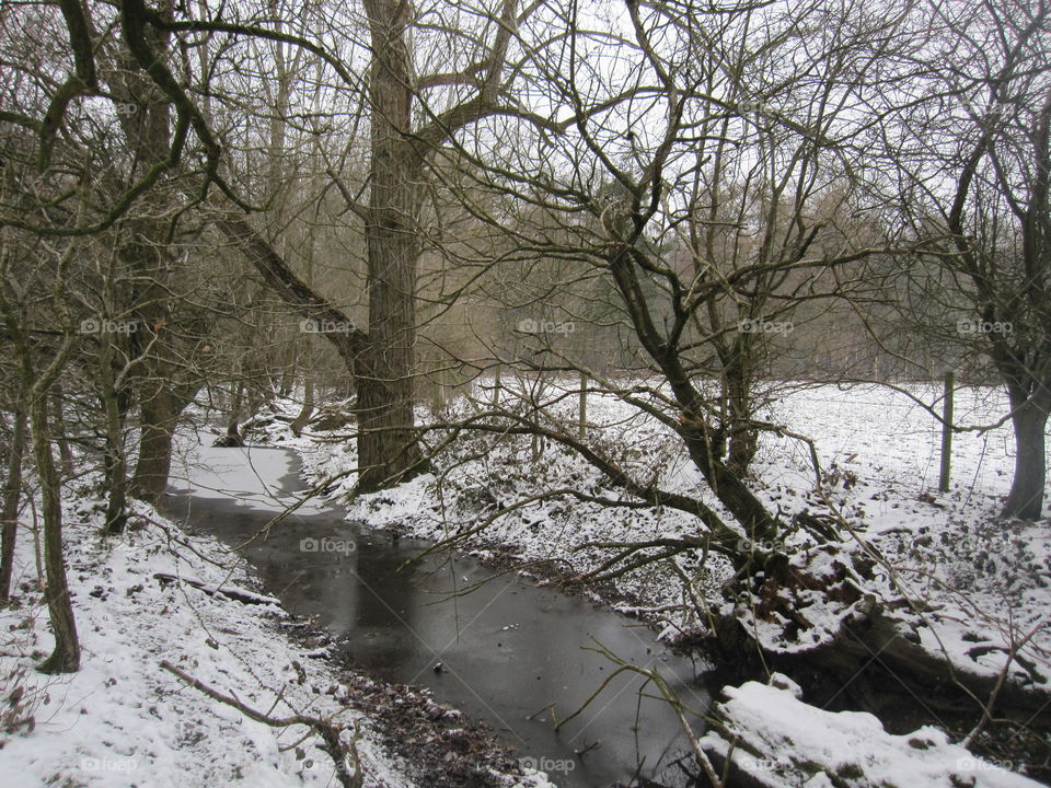 Frozen River