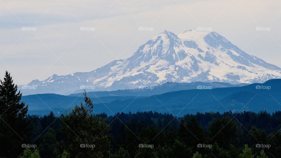 Mount Rainier shows her blue side on an overcast day as she rests among a blanket of evergreens 