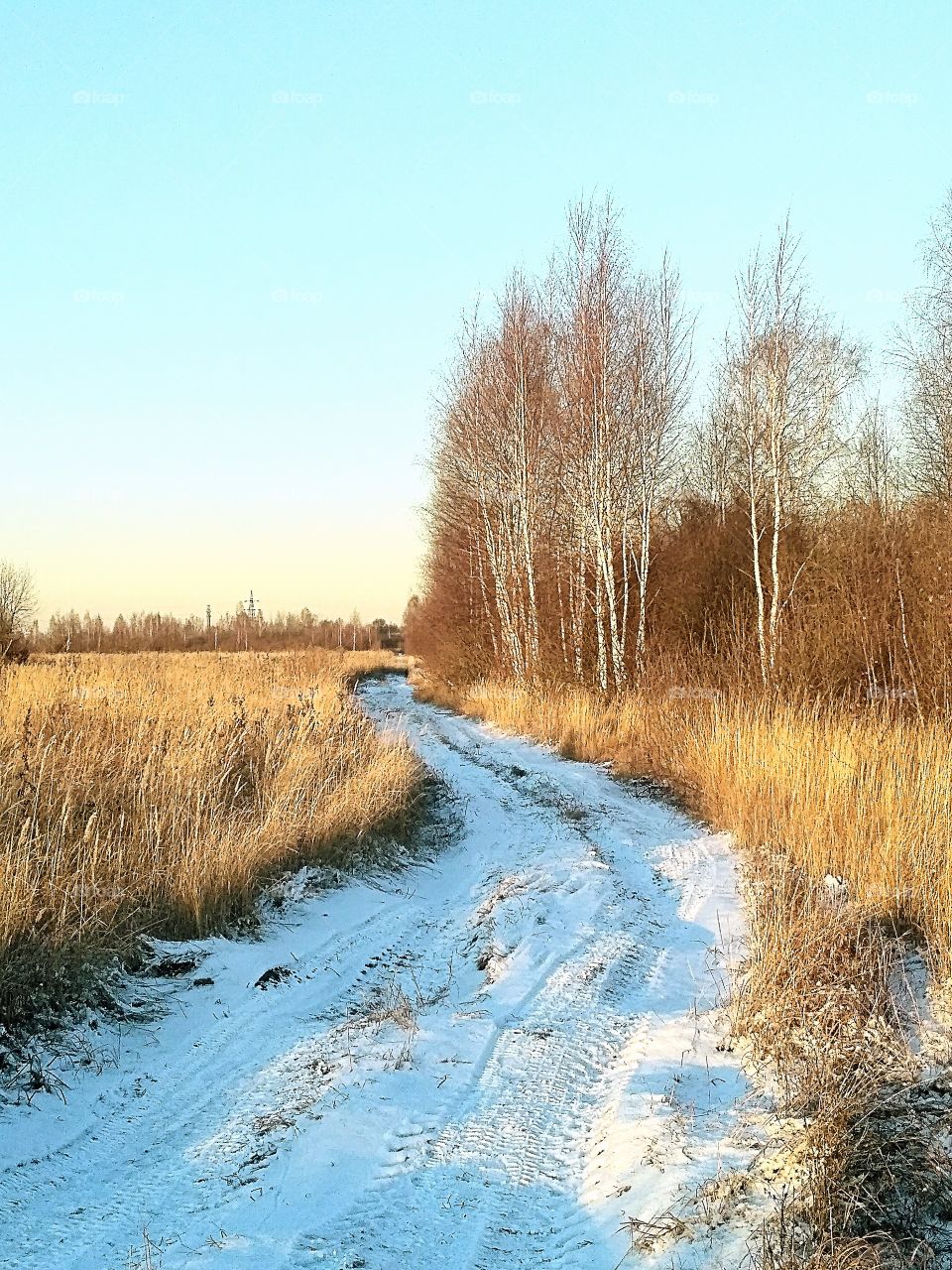 природа, зимний пейзаж, первый снег, морозный день, грунтовая дорога в поле, голубое небо солнечный день.