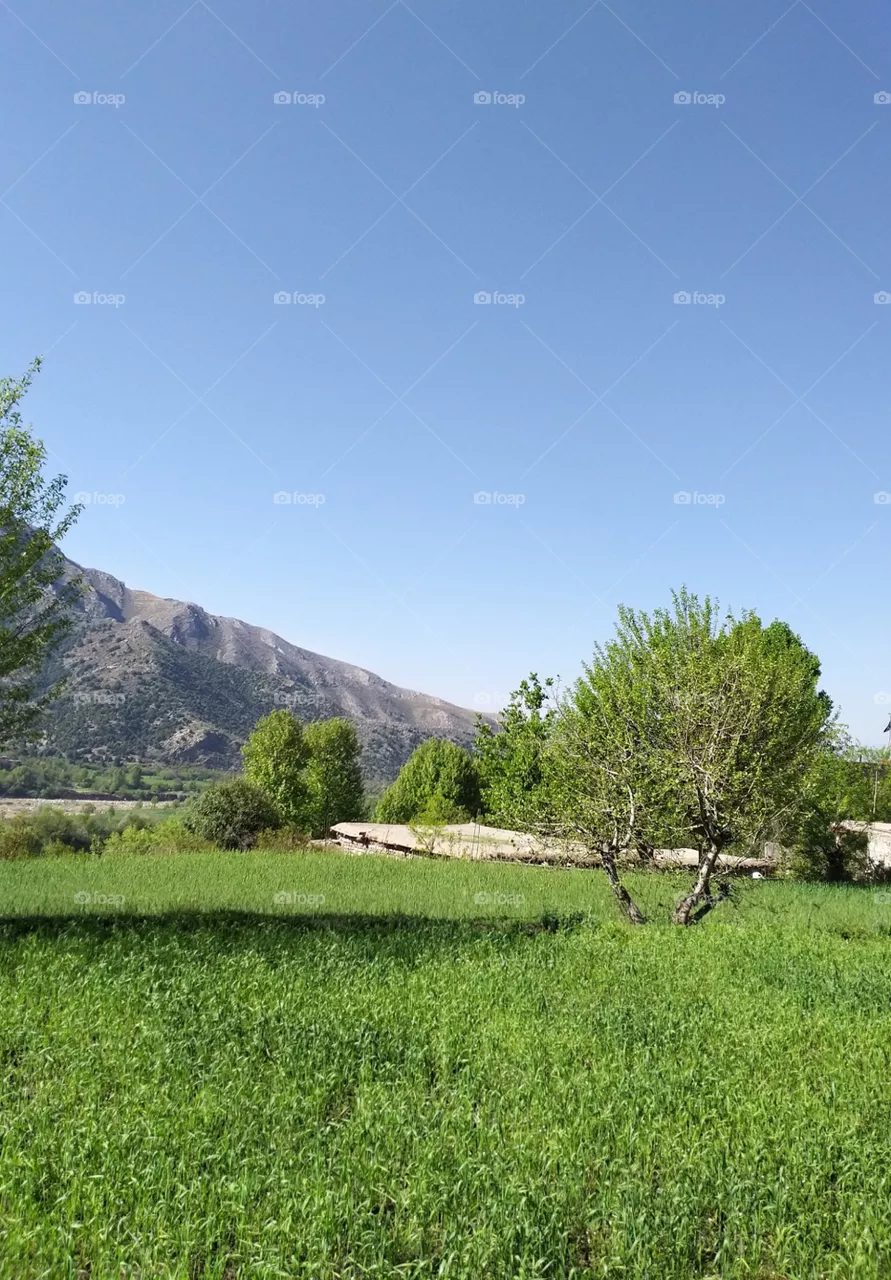 green land