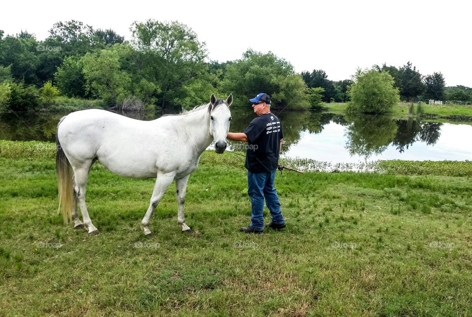 Man standing near horse on grass