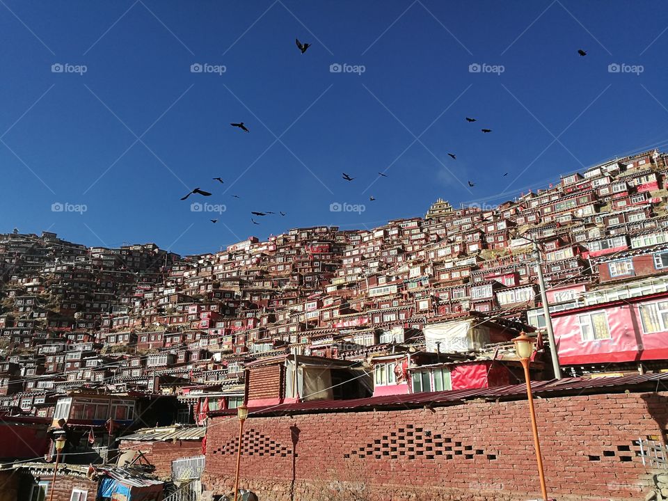 Nun staSe Da Buddhist Monastery and School in Sichuan Province, China.

Se Da is currently the largest Tibetan Buddhist school in the world and not open to westerners.