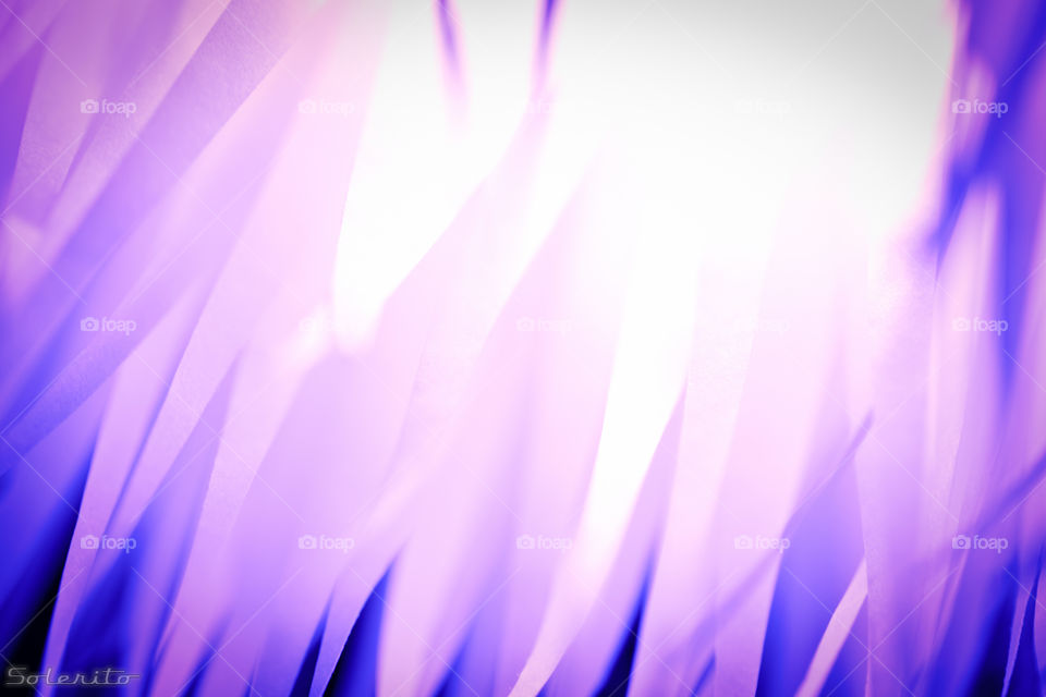 purple and white light abstract