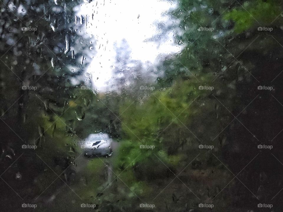 Rainy days:
View from a window.