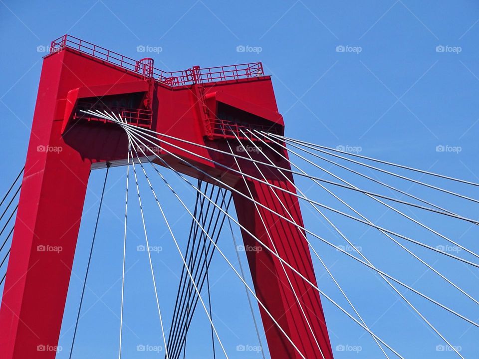 Willemsbrug in Rotterdam 