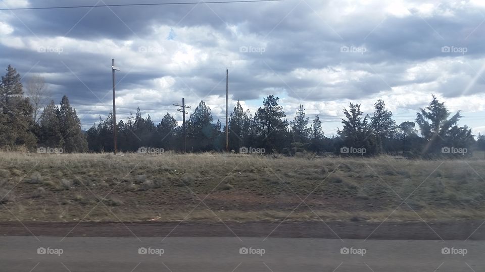 Oregon Roadside