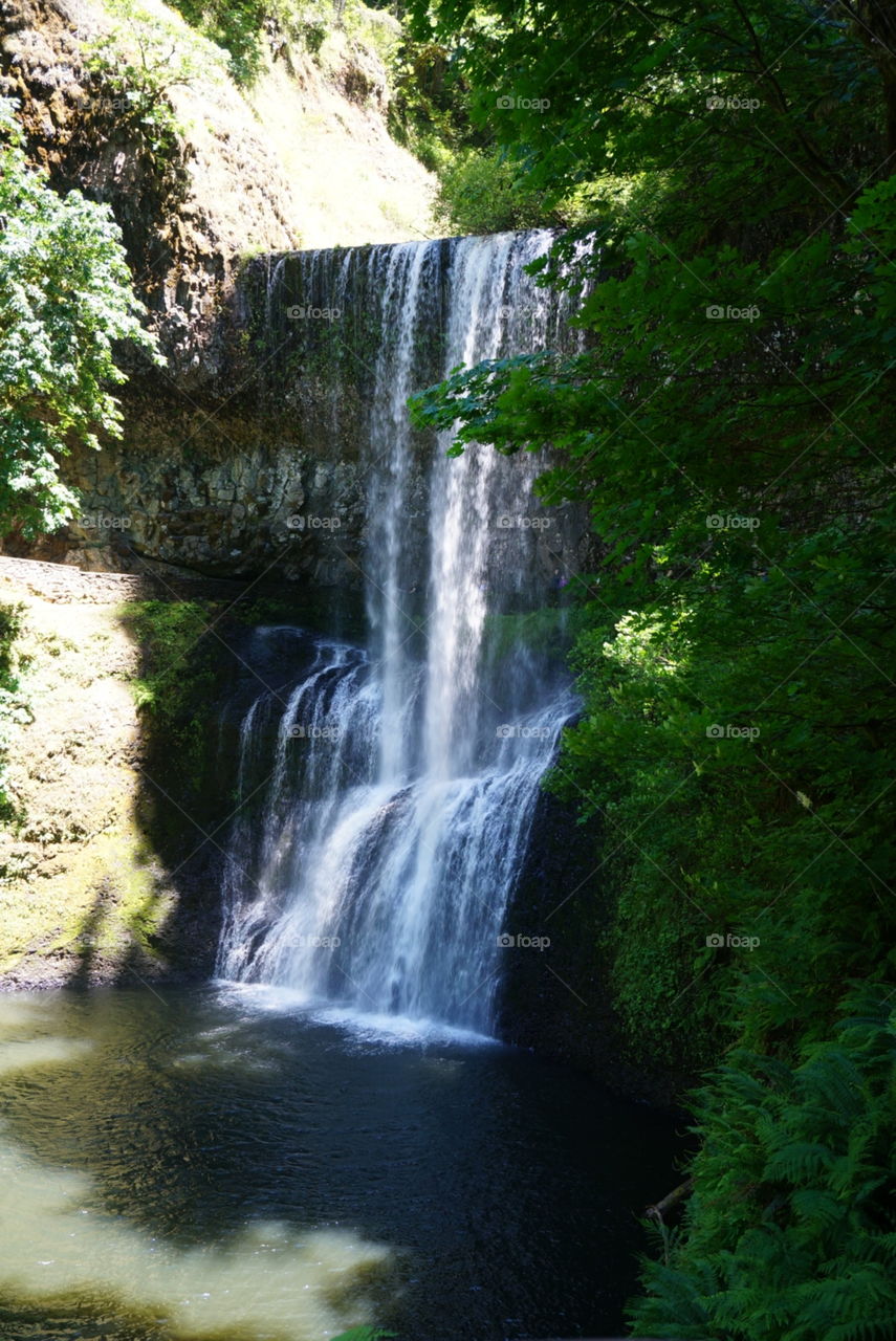Waterfall. Silver creek falls