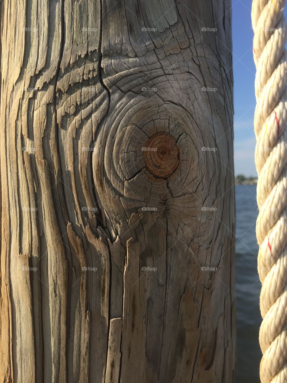 Wood Post in Ocean