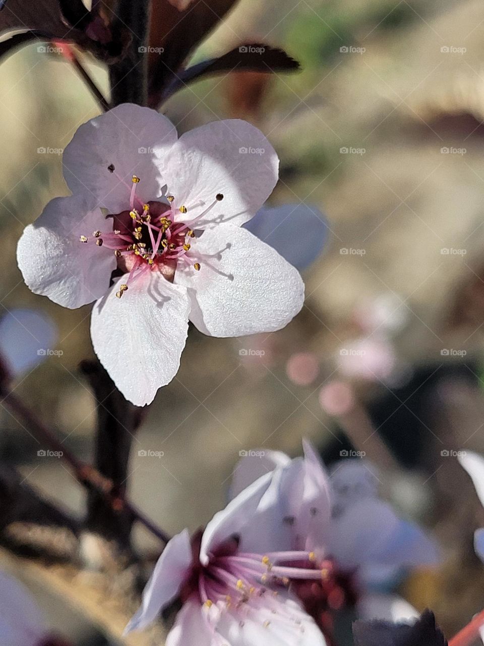 colores de primavera