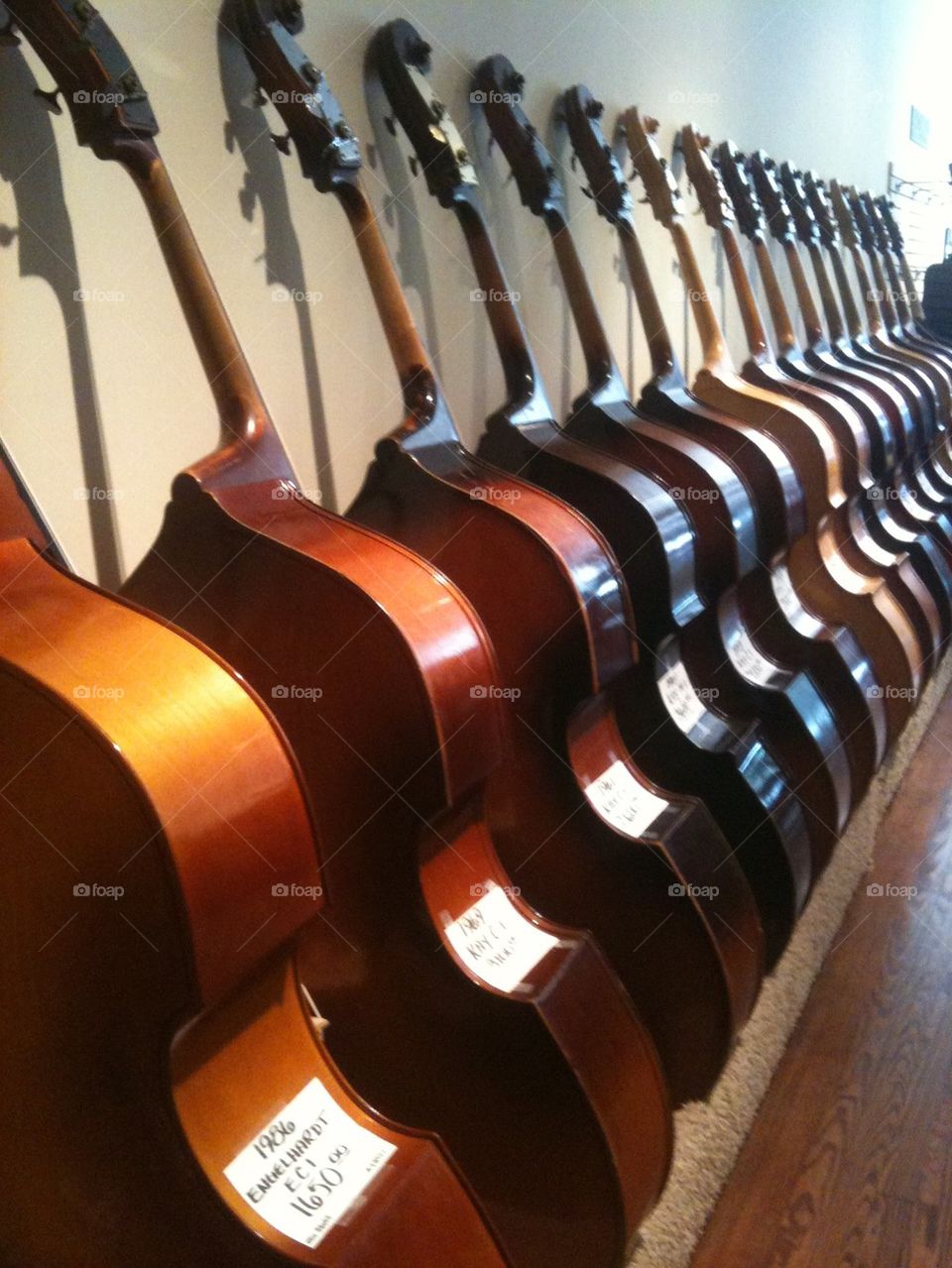 Fretwell Basses