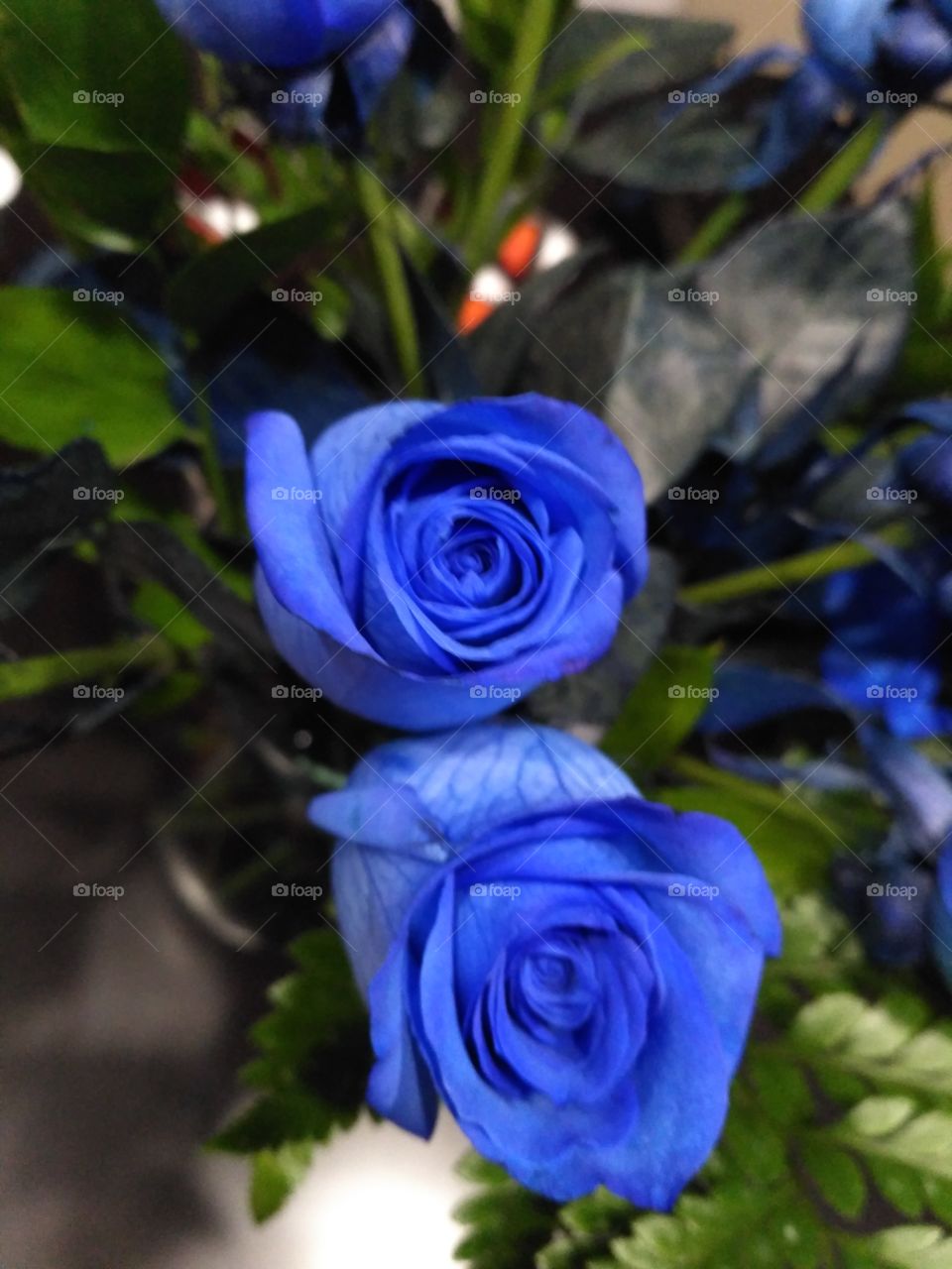 Blue roses perfect anniversary