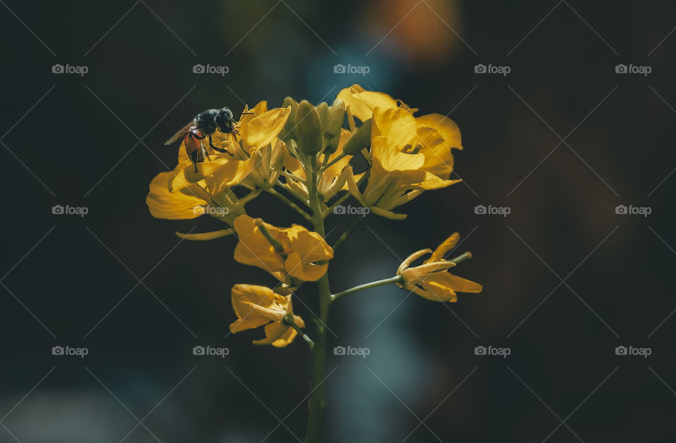 It's been a While I last posted something ❤️