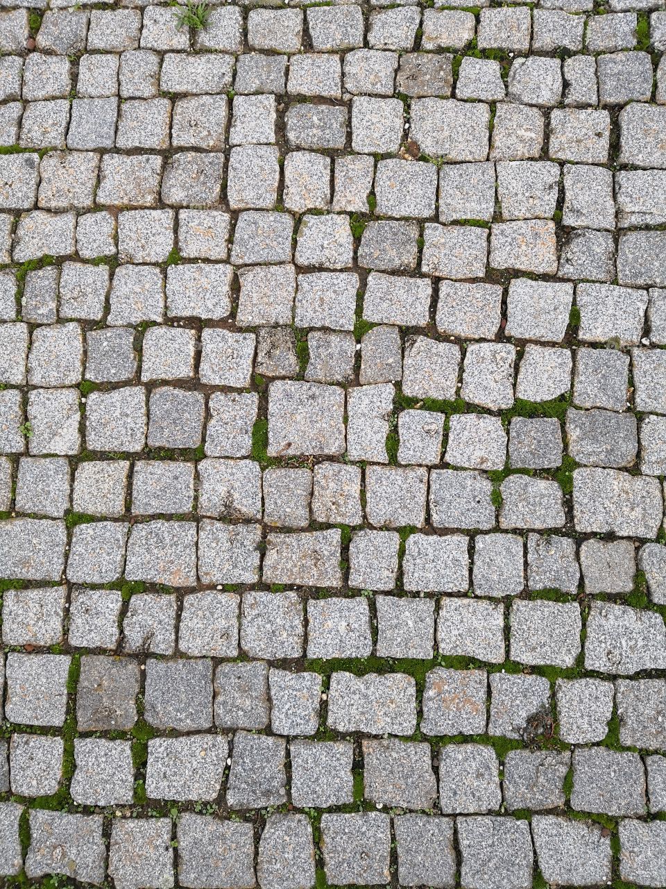 Floor, Castelo de Vide, Portugal