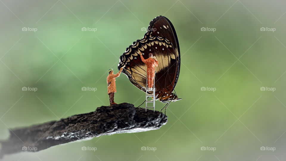 Miniature figurines painting the butterfly wings