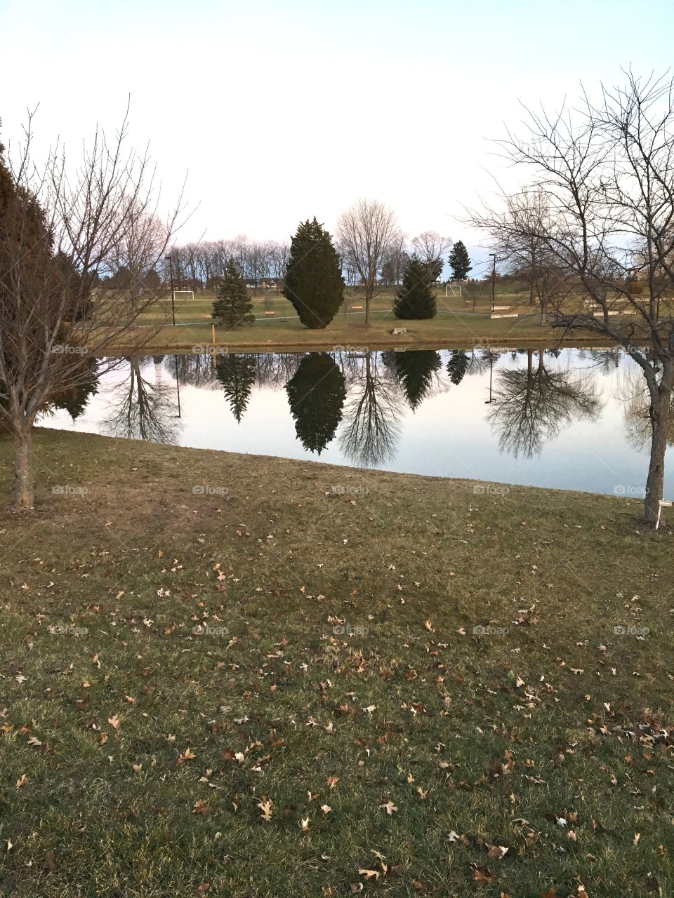 Reflection scene in park lake 