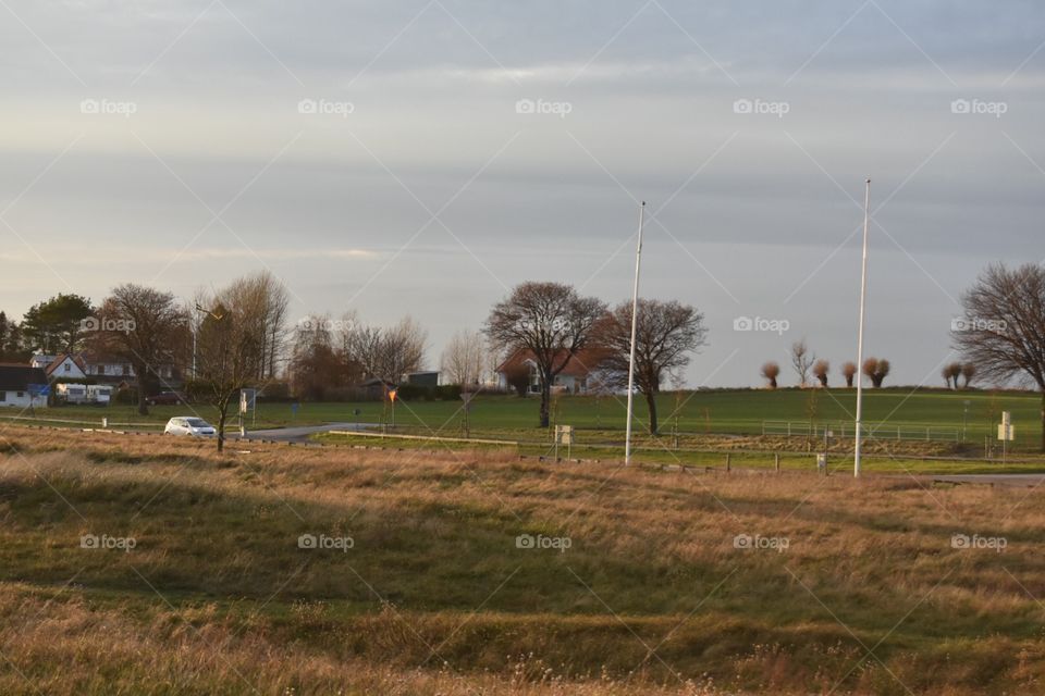 Landscape, Tree, No Person, Grass, Field