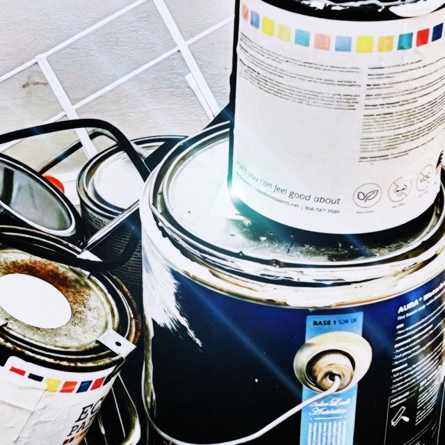 Paint 