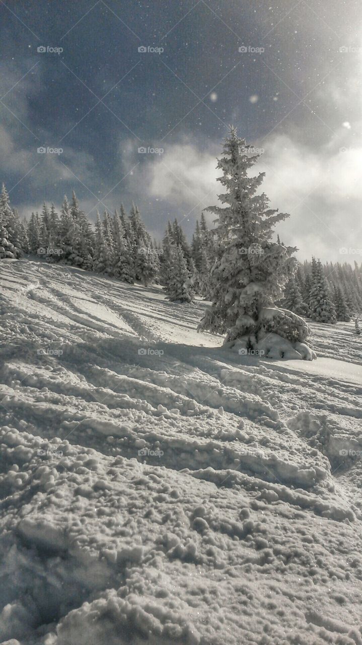 Powder day. Enjoying endless fresh powder at Vail Ski Resort.