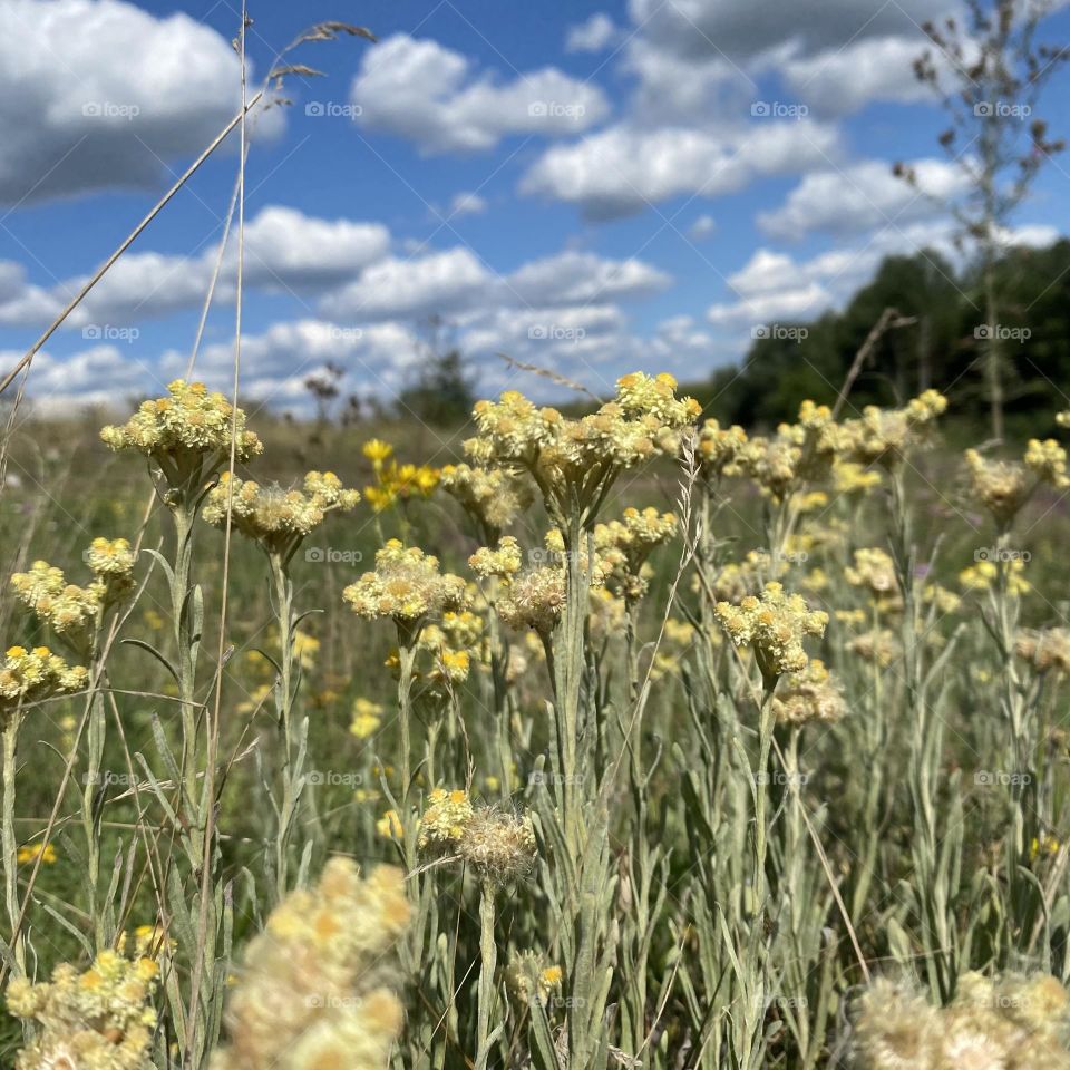 The right summer is when you don't regret anything.