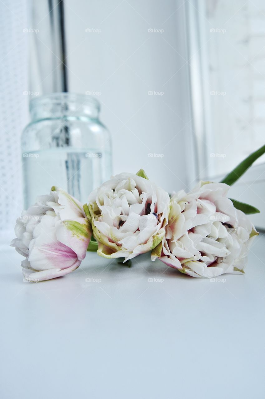 The tulip is an incredibly beautiful flower, and in many countries it is a symbol of love and happiness.
 